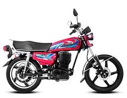 United Electric Bike